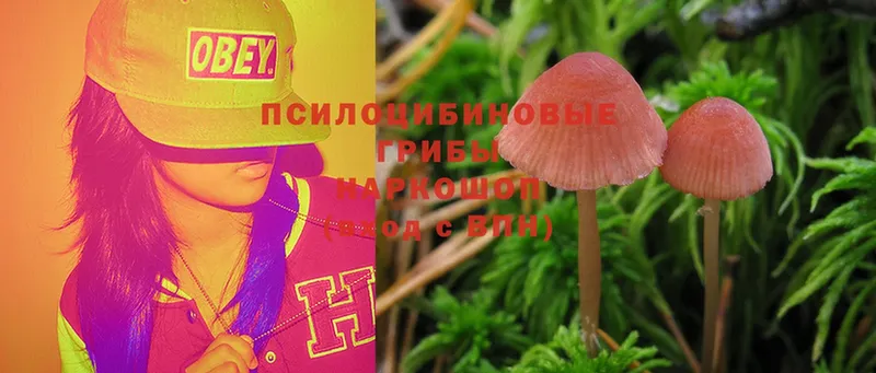 Псилоцибиновые грибы Cubensis  как найти наркотики  Железноводск 